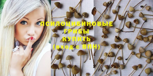 дживик Заводоуковск