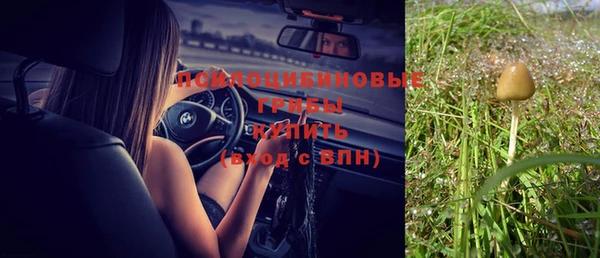 дживик Заводоуковск