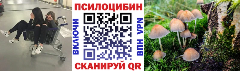 Псилоцибиновые грибы Psilocybine cubensis  Купить  Алатырь 
